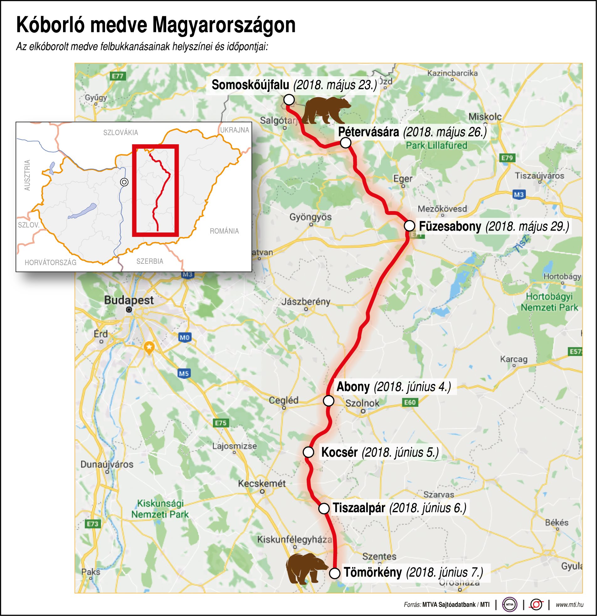 Ezt az utat járta be a kóbor medve - egy ábrán