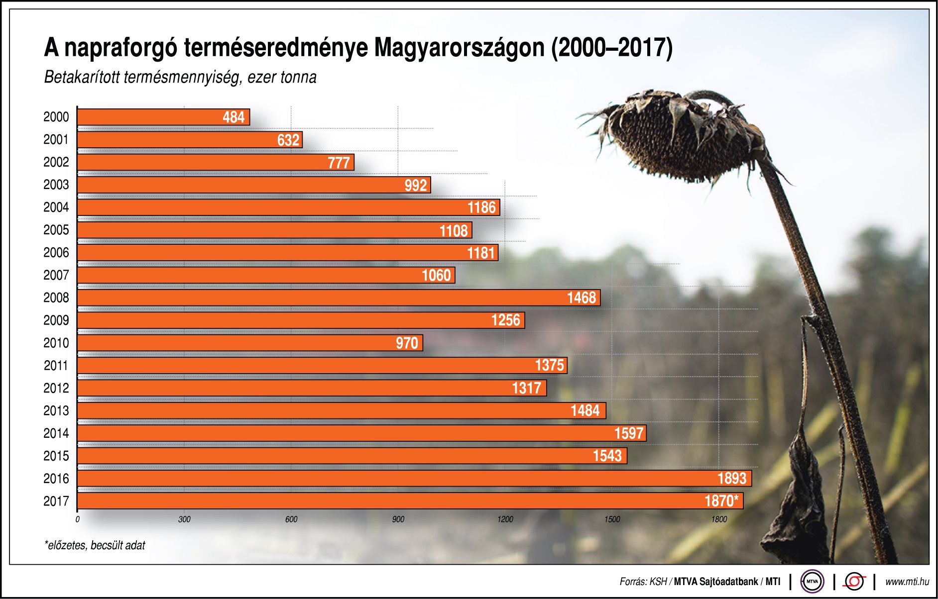 Ennyi napraforgó terem Magyarországon - egy ábrán