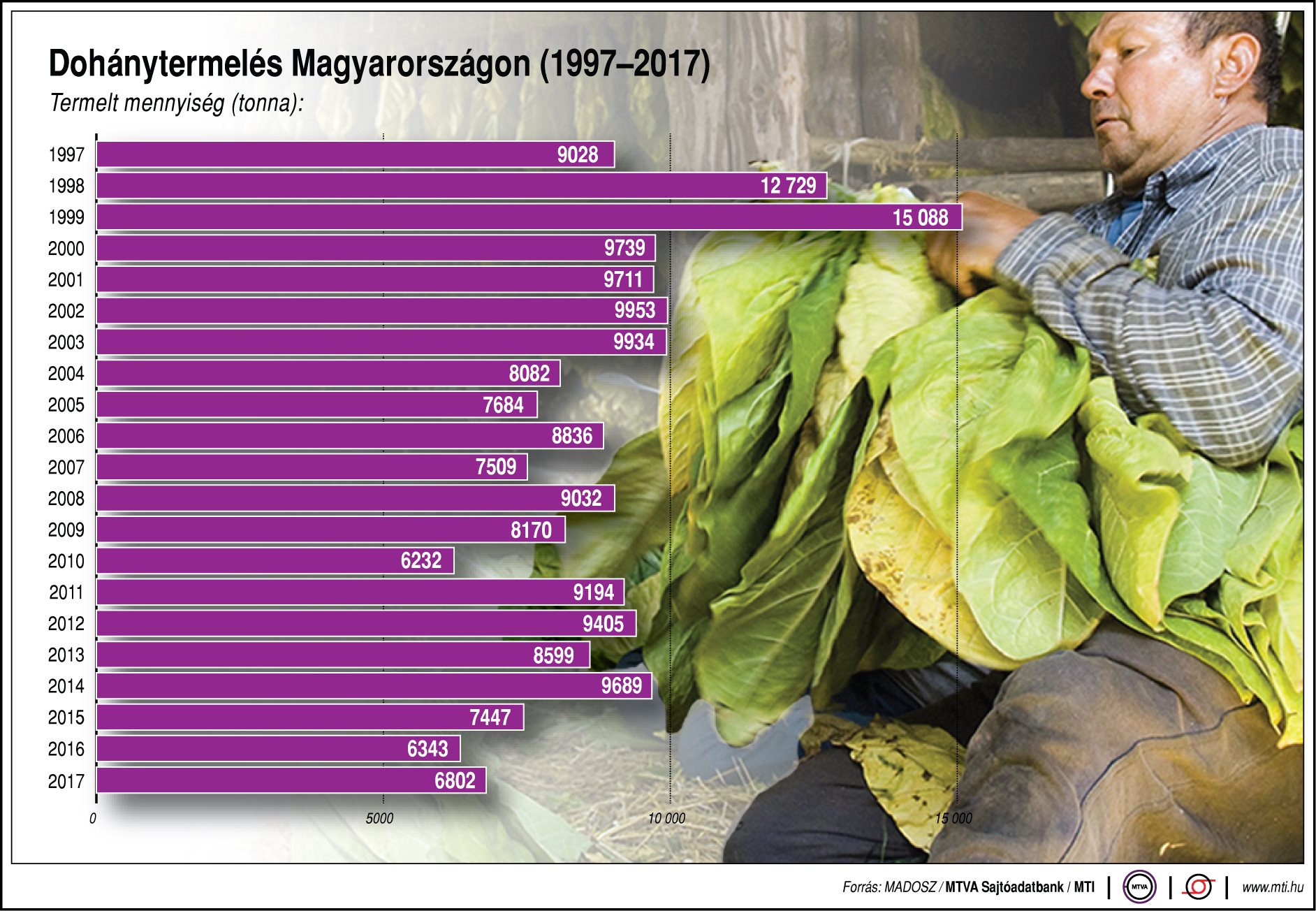 Így alakul a dohánytermelés Magyarországon - egy ábrán