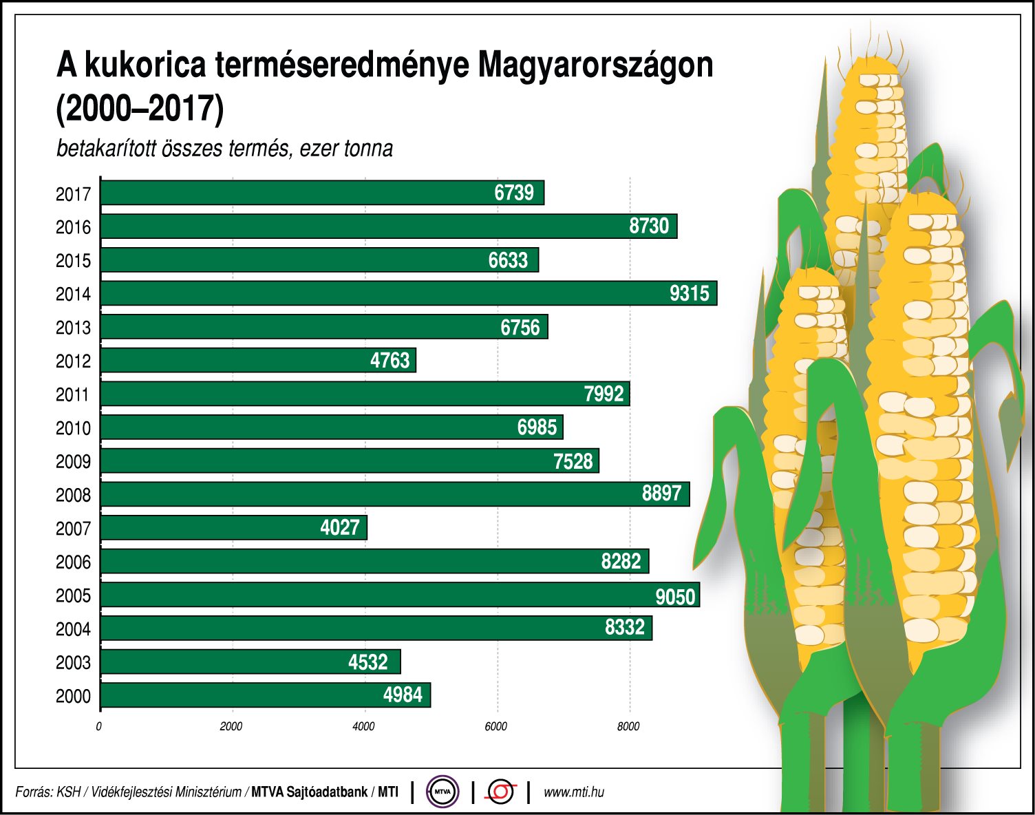 Ennyi kukorica terem hazánkban - egy ábrán