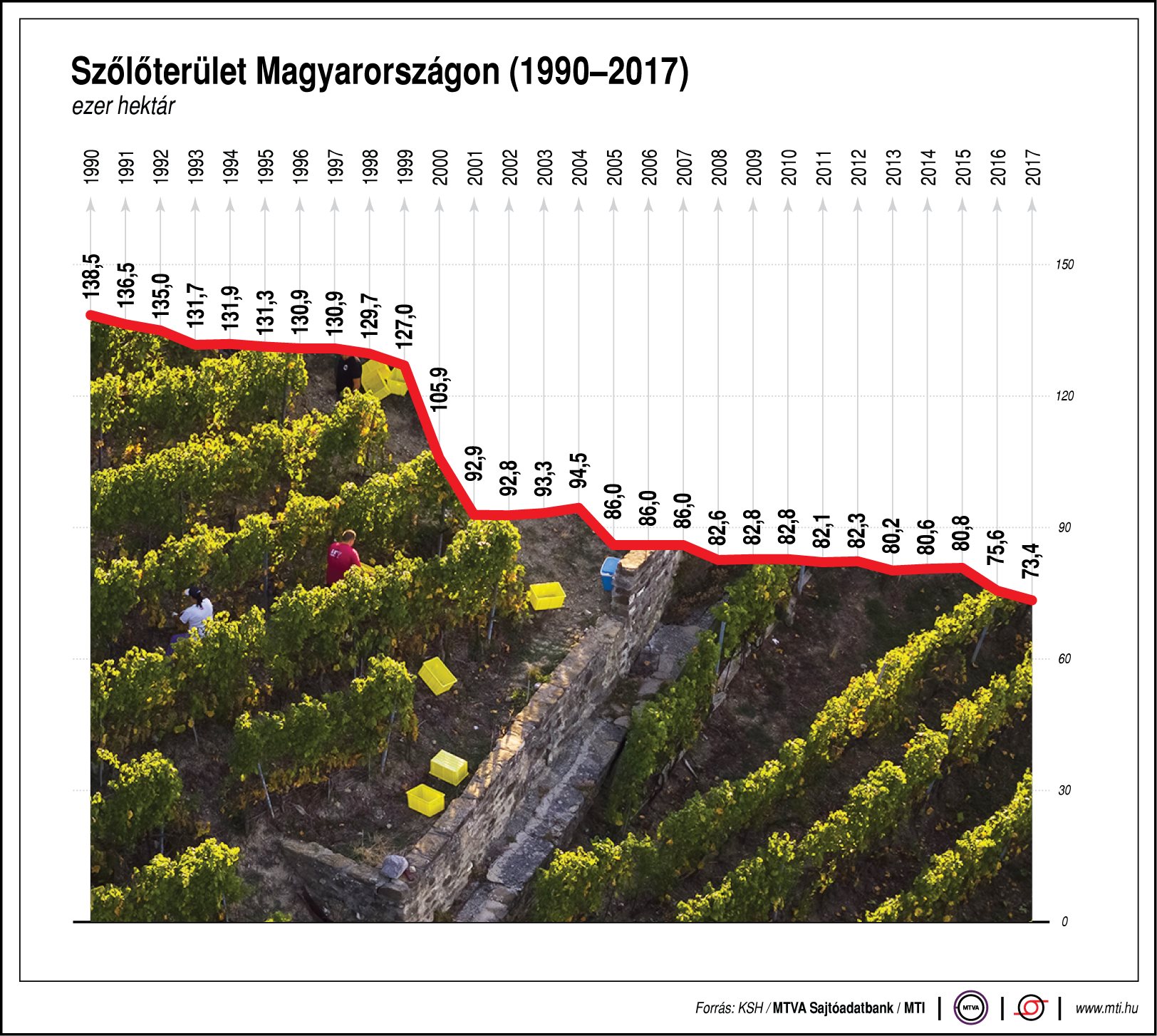 Csökken a szőlőterület Magyarországon - ábrán mutatjuk