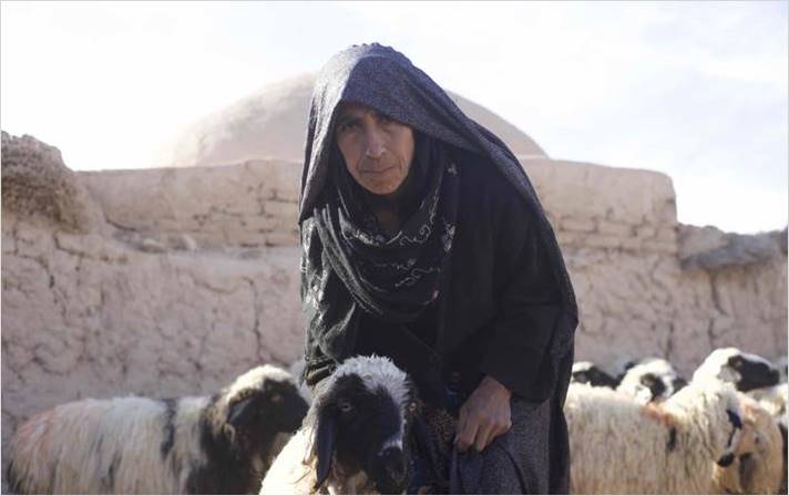 Sürgős segítségre lenne szükség az aszály sújtotta Afganisztán mezőgazdaságának