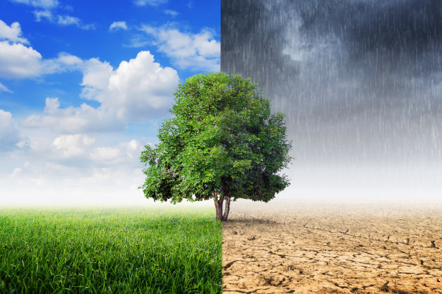 Vízhiány és szárazság: vajon mit okoz még a klímaváltozás hazánkban?