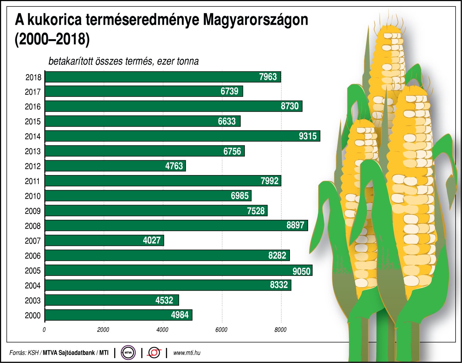 Ennyi kukorica terem Magyarországon - ábrán mutatjuk