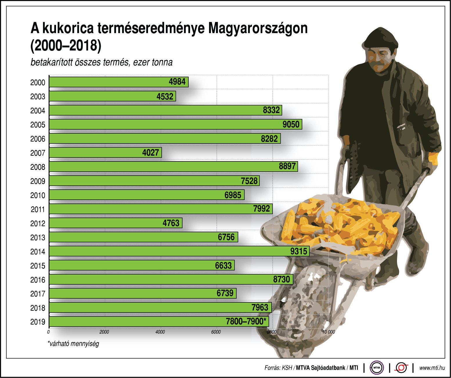 Ennyi kukorica terem Magyarországon - ábrán mutatjuk