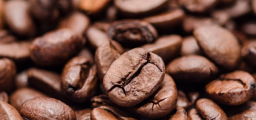 Talajmegújító gyakorlatokat alkalmazó kávéfarmok létrehozásával biztosítja a jövő generációjának kávéfogyasztását a Nescafé