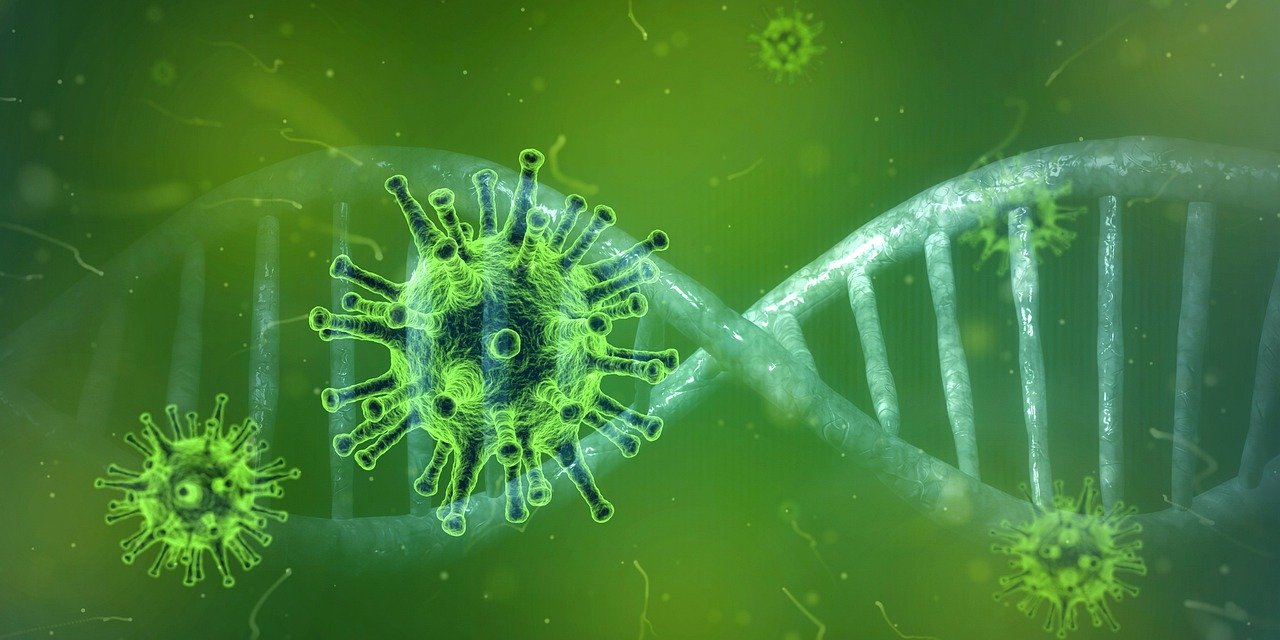 A genetikai háttér adhat választ a koronavírus-betegség súlyos és kevésbé súlyos lefolyására