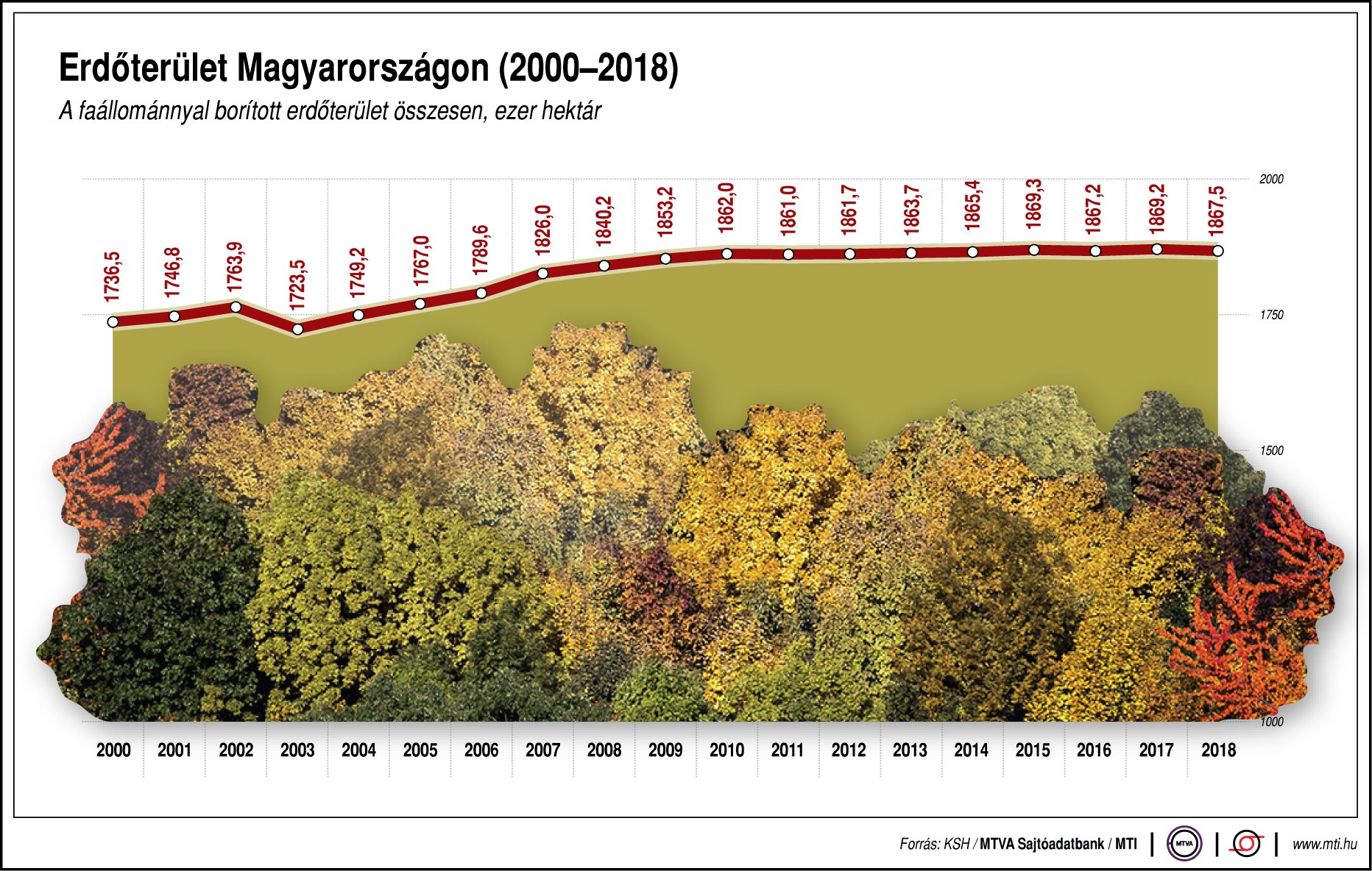 Mennyi erdőterület van hazánkban? Ábrán mutatjuk4