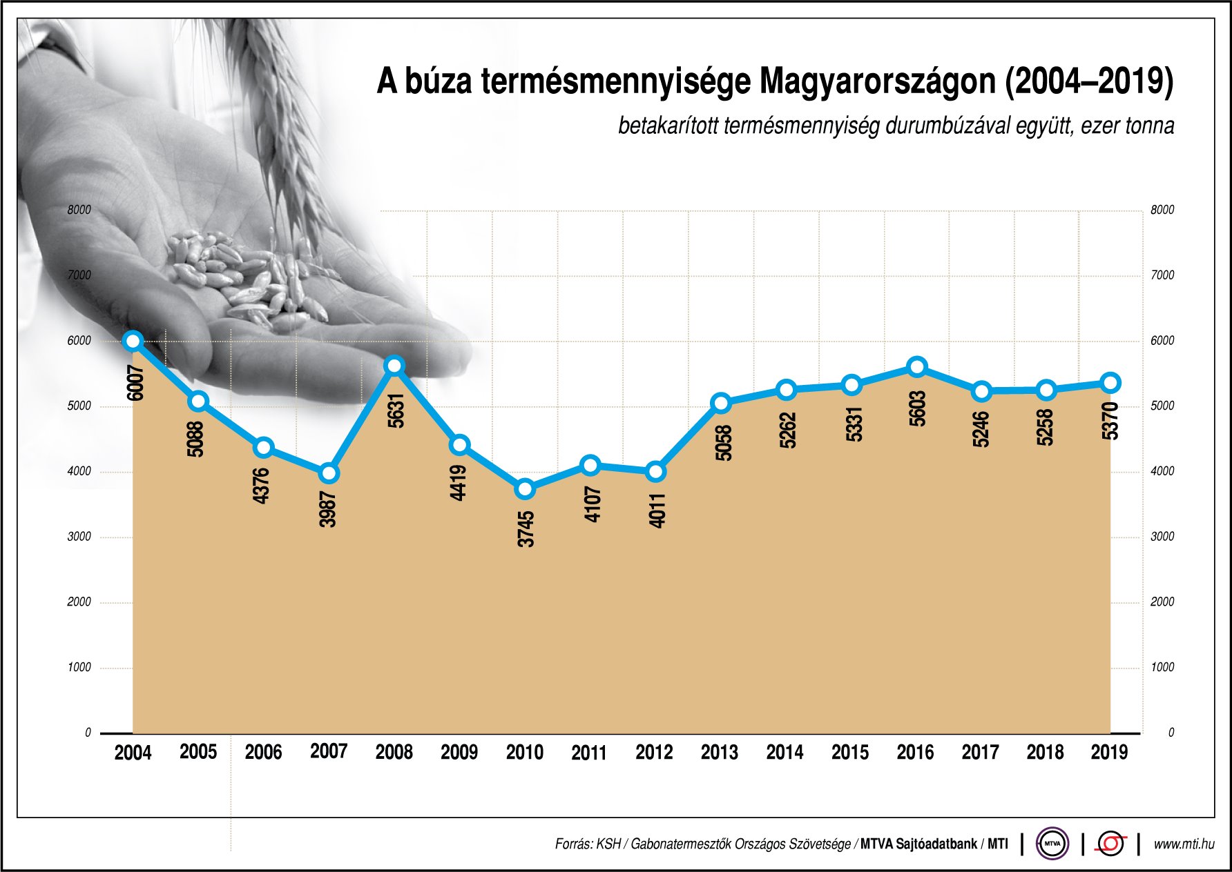 Ennyi búza terem hazánkban - ábrán mutatjuk!