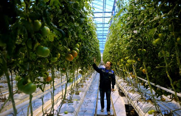 Európa és Közép-Ázsia letette voksát a fenntartható és innovatív mezőgazdaság mellett