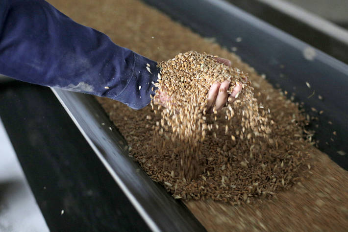 Az ukrán gabona kivitelének felgyorsításáról tárgyalt Kárpátalján a magyar agrárminiszter