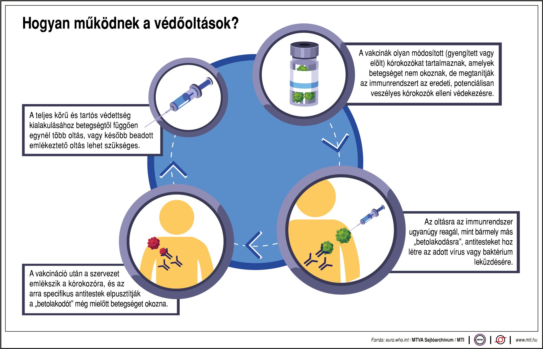 Hogyan működnek a védőoltások? Ábrán mutatjuk!