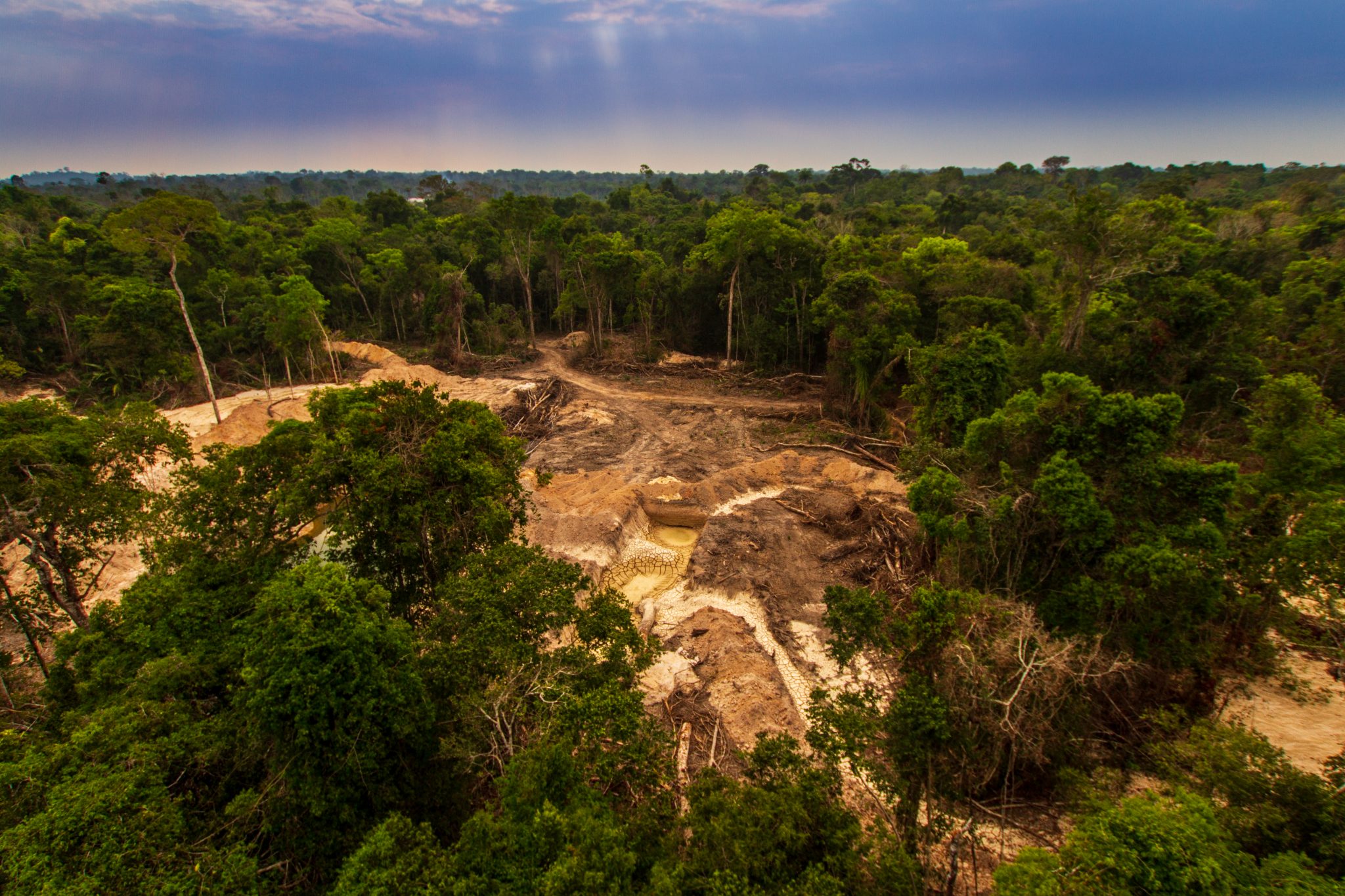 Mesterséges intelligenciával és adatelemzéssel törekszenek az erdőirtás elleni küzdelemre az Amazonas védelméért
