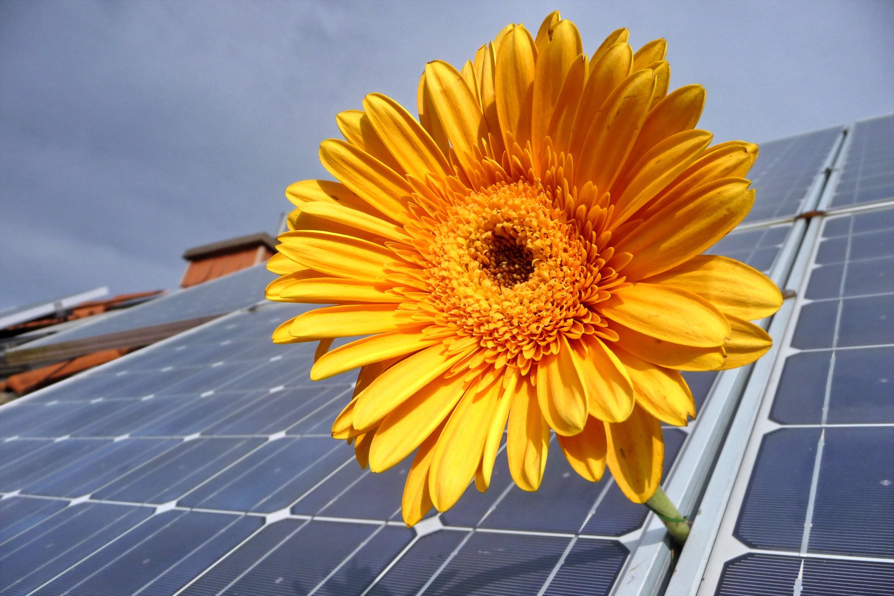 Áttörést hozhat a zöldenergia-piacon az E.ON és a Solar Markt dekarbonizációs csomagja