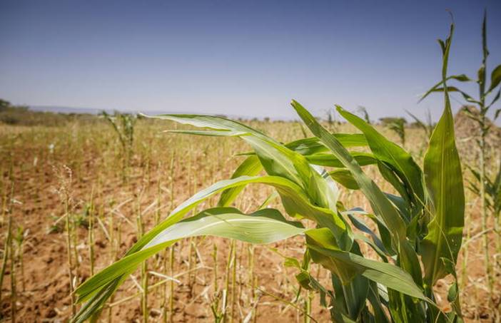 ÁSZ: Felértékelődött a mezőgazdaság fontossága