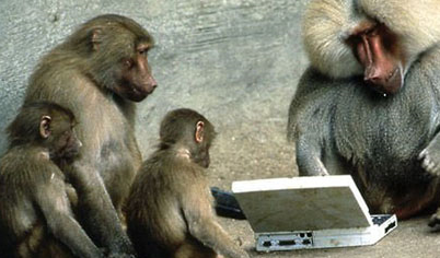 Leleplezés! Darwin 'kölcsönvette' a természetes szelekció elméletét ?!