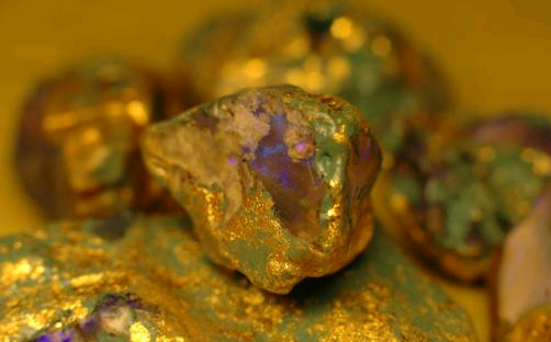 Hatalmas aranyrögre bukkantak egy skóciai folyóban