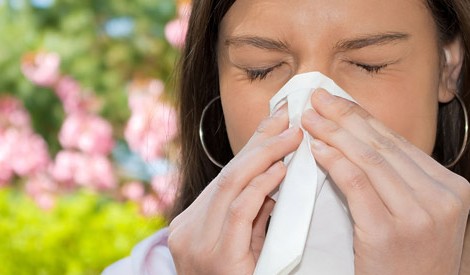 Allergén pollenek jelenhetnek meg a levegőben