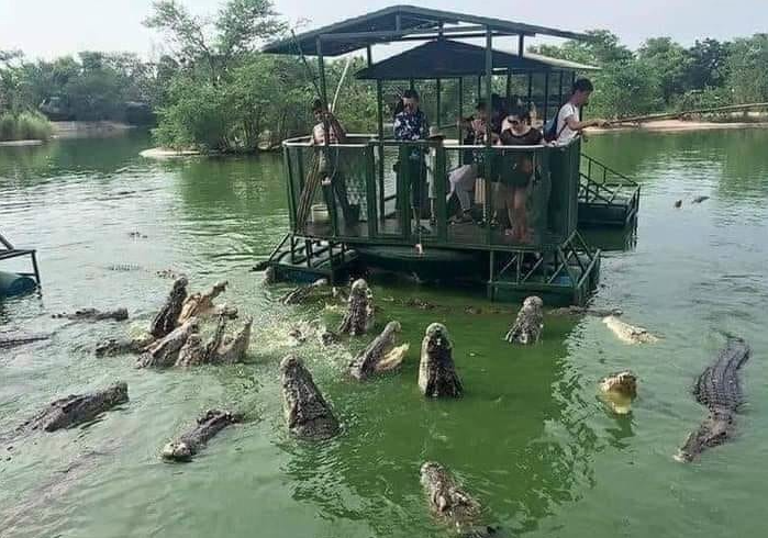 Így keress 1.000.000-t a krokodilok között - Igaz történet