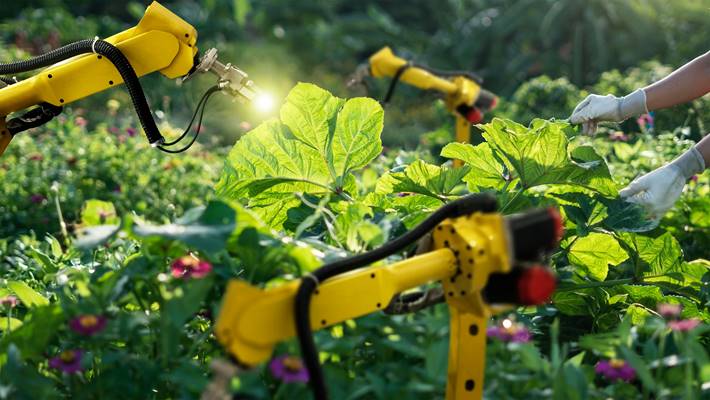 Az automatizálás révén építhetjük újjá az agrár-élelmezési rendszereket