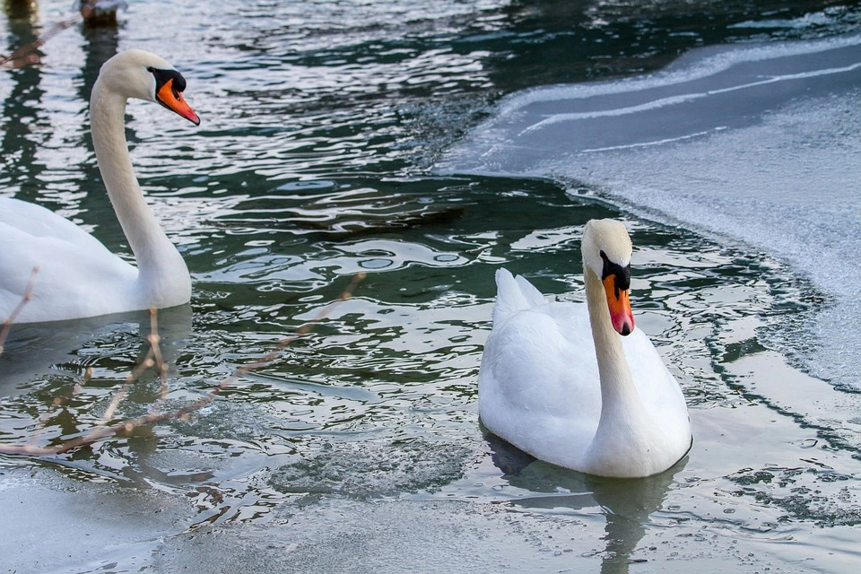 Jelenleg életveszélyes a Balaton jege