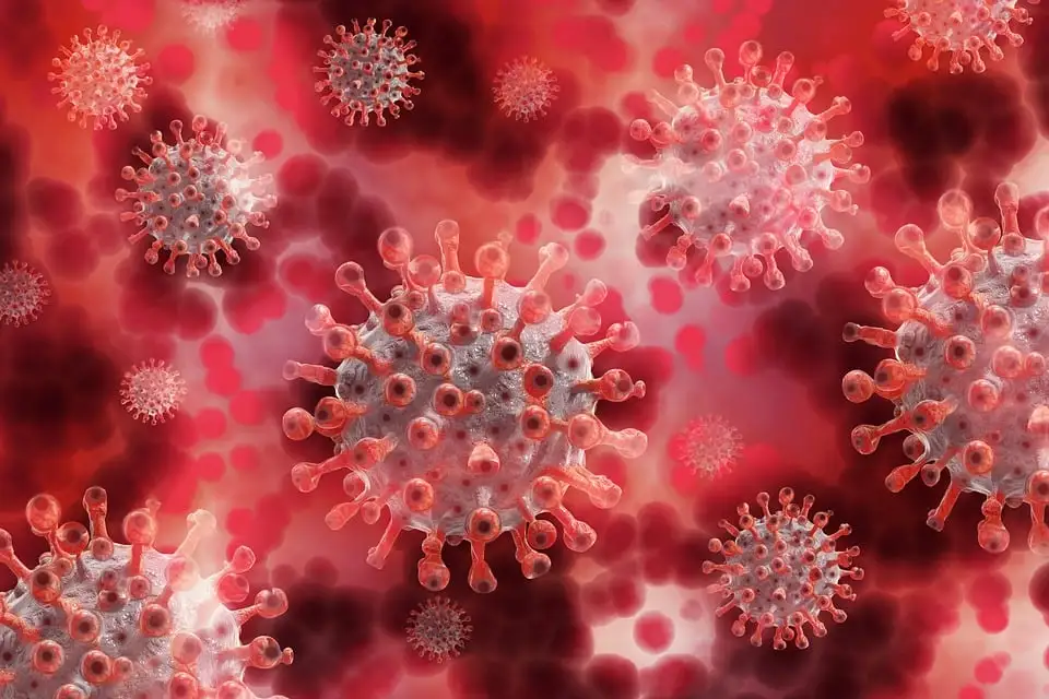 Megnőtt több helyen is a koronavírus jelenléte