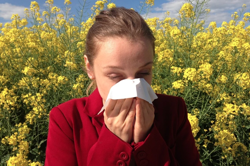 Rossz hírünk van az allergiásoknak