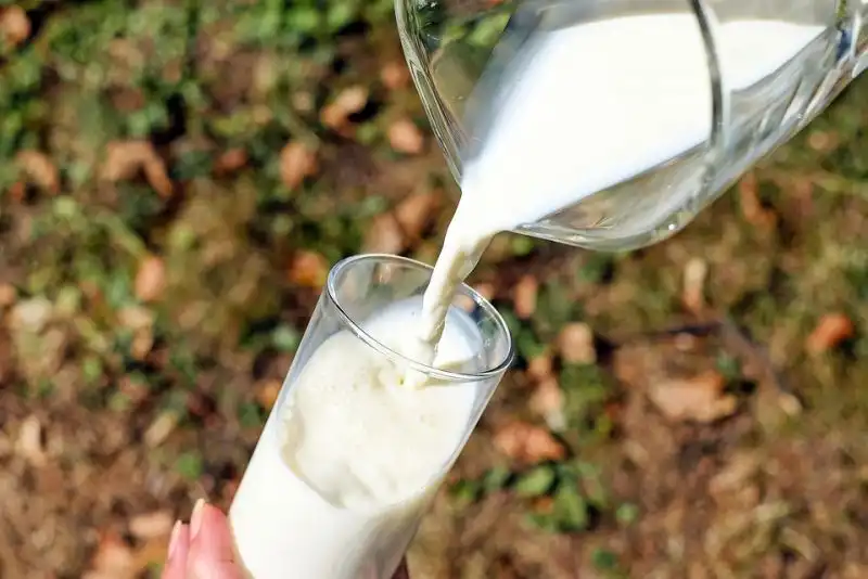 Közel tizenegymilliárd forint támogatás érkezik a tejtermelő és hízott-bikatartó gazdaságok számára