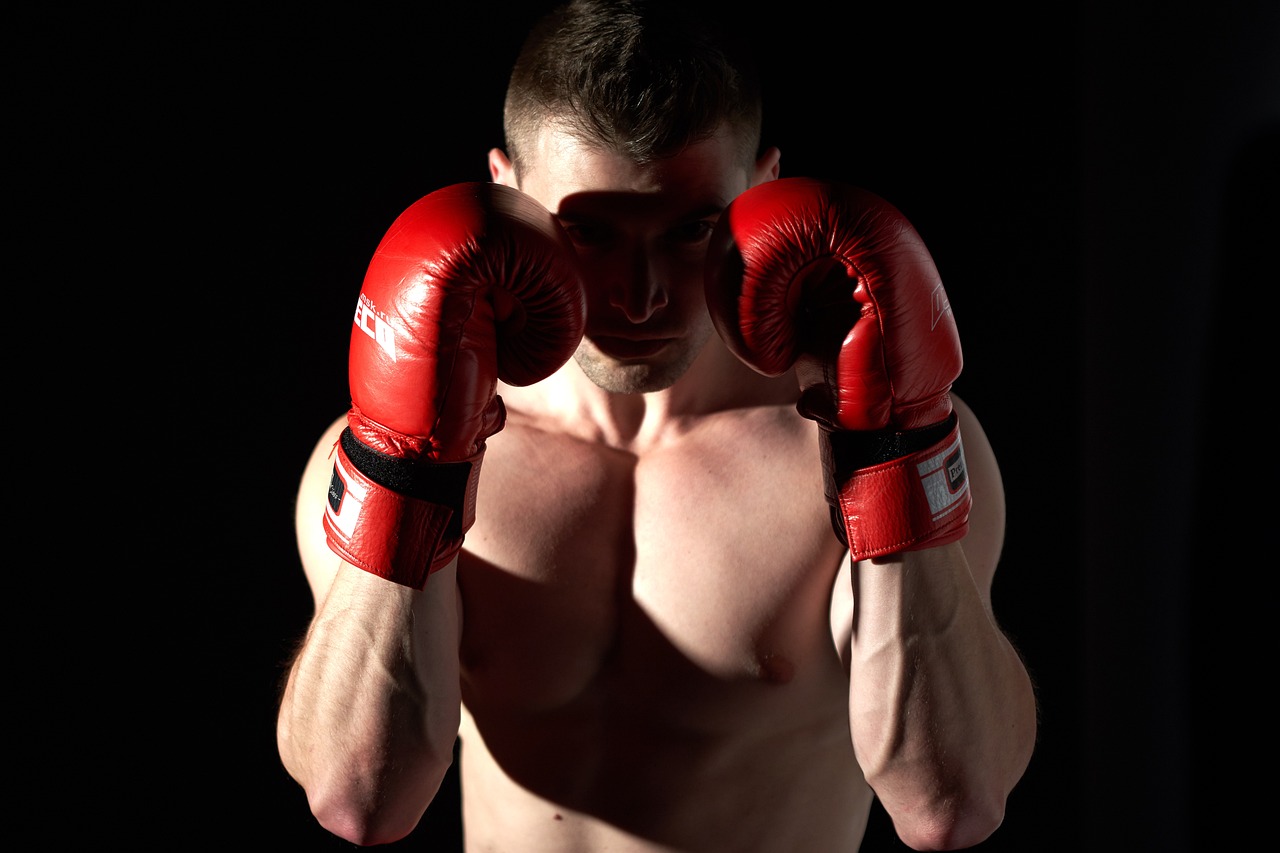 Hét tagszervezetnél tart az új bokszszövetség