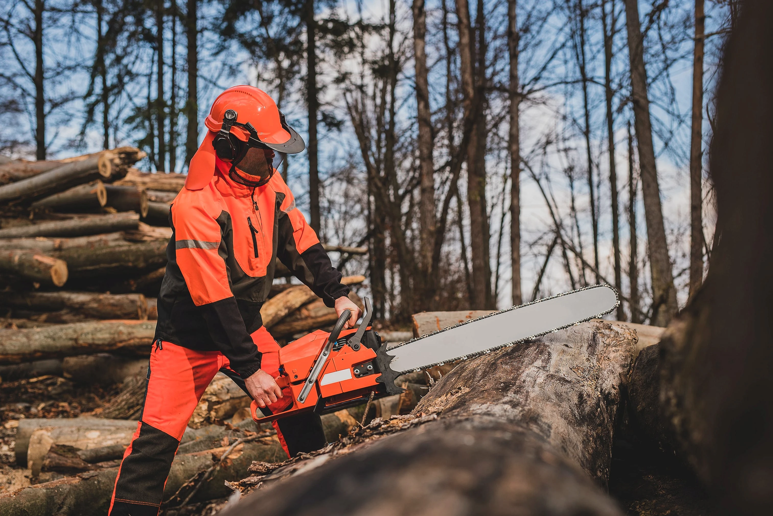 Kiknek jó választás a fakitermelő képzés?