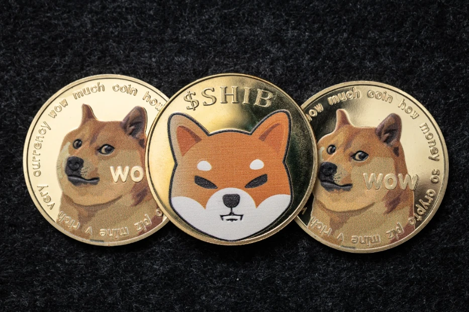 Dogecoin (DOGE) és Shiba Inu (SHIB) új csúcsokat érnek el, a piaci elemzők szerint a KangaMoon (KANG) akár túl is szárnyalhatja őket
