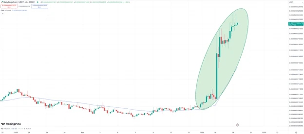 BabyDoge kriptovaluta árfolyam elemzés és előrejelzés