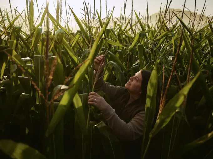 A mezőgazdaságban dolgozó nők szerepvállalása előmozdíthatja az agrárium fenntartható fejlődését