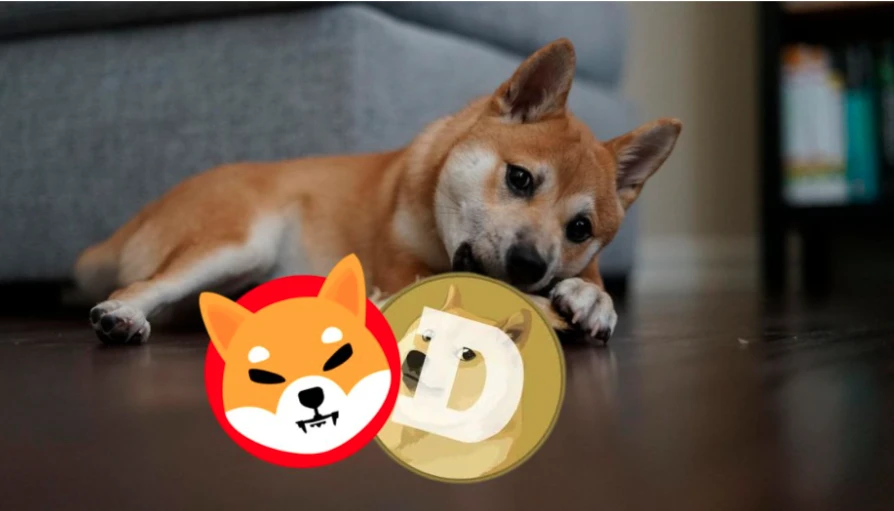 Dogecoin 20 dollárra és Shiba Inu 1 dollárra emelkedne? Itt van, miért lehet ideje továbblépni