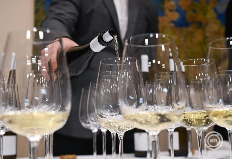 Elindult a nevezés a 2025-ös Winelovers Wine Awardsra - Idén már 12 kategóriában küldhetik be tételeiket a borászatok