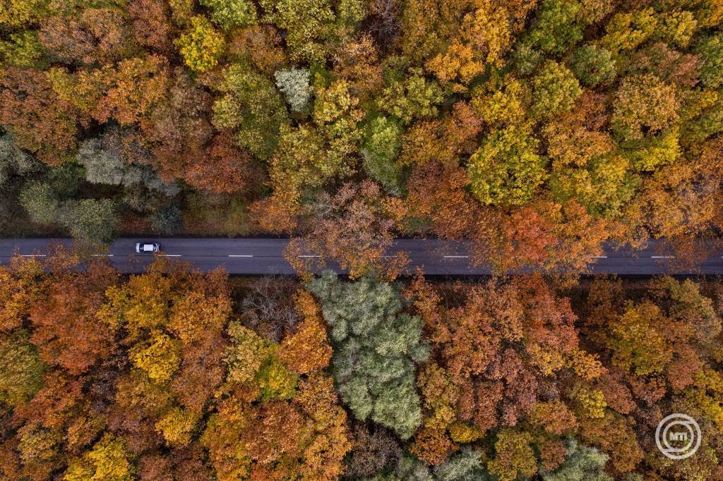 Szlovák-magyar összefogás a tölgyerdők fenntartható kezeléséért