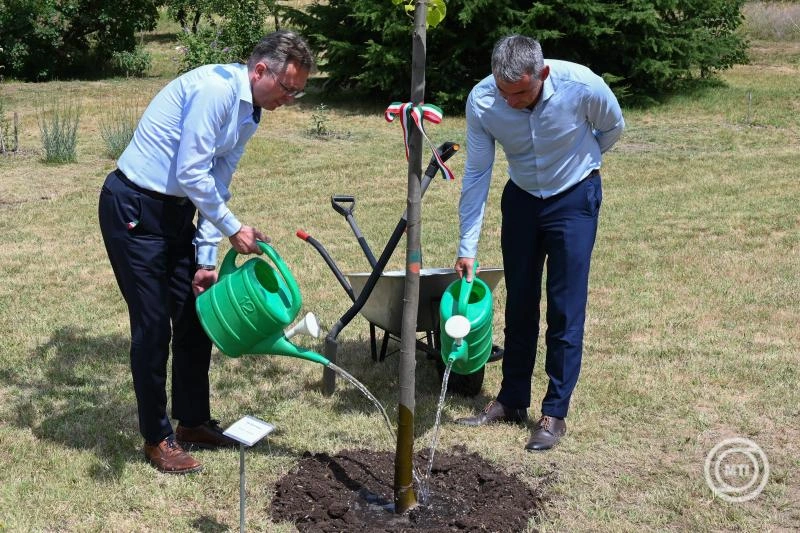 Egyedülálló élménygazdaságot alakítanak ki a gödöllői egyetemen