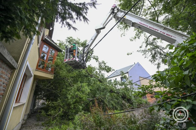 A Katolikus Karitász tízmillió forint azonnali támogatást különített el a károsultaknak