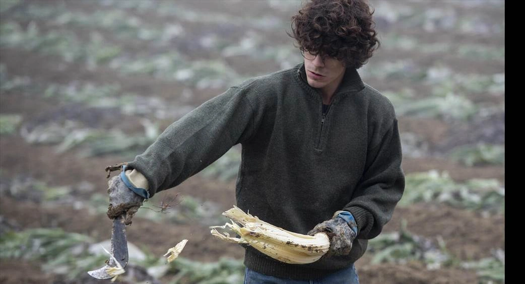 A FAO elismerésben részesíti a fiatal gazdákat. Jelentkezőket várnak Európa és Közép-Ázsia országaiból