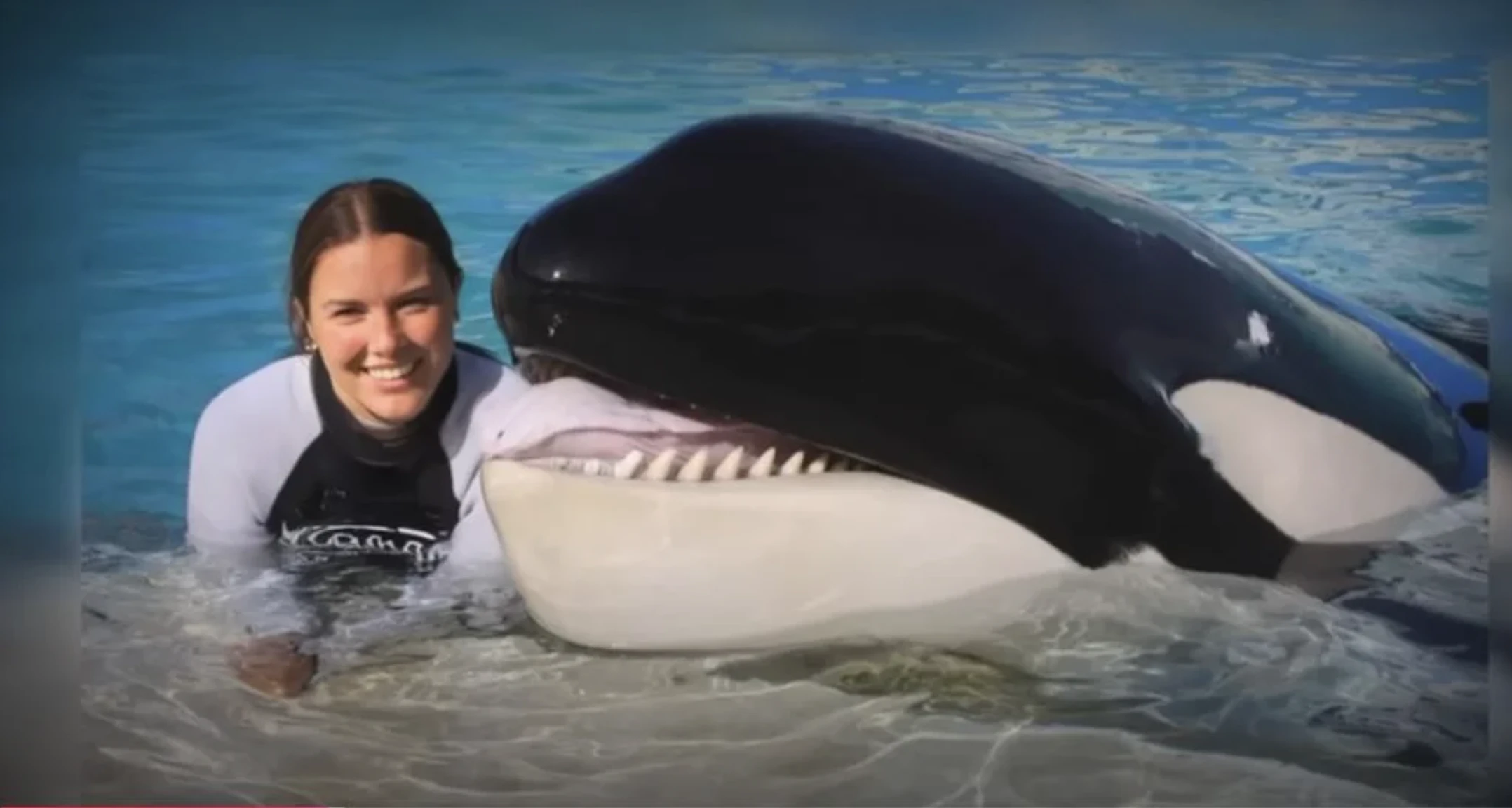 Orca támadás Jessica Radcliffe ellen - igaz vagy álhír az egész véres történet?