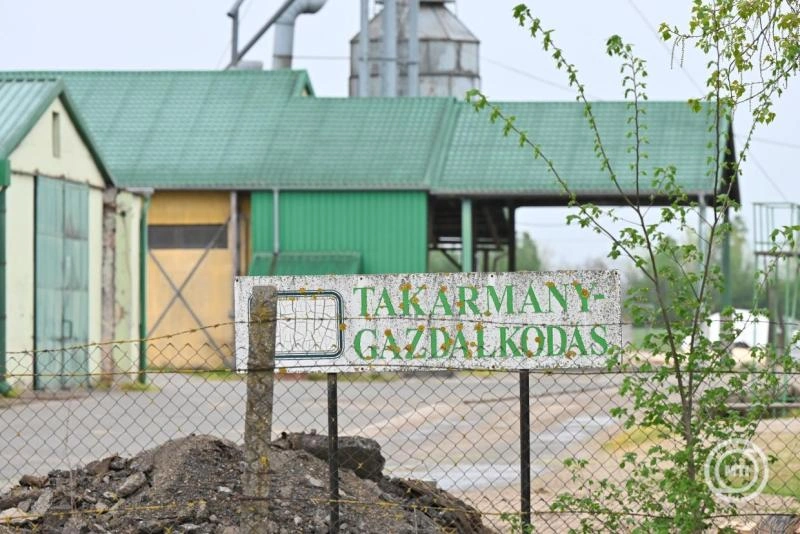Magyarország visszanyerte a ragadós száj- és körömfájás betegségtől való mentességét