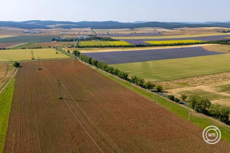 Agrármarketing Centrum: befejeződött a "Fejlődő vidék" kampány