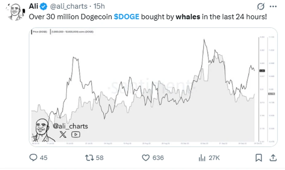 Dogecoin árfolyam elemzés és előrejelzés friss DOGE hírek