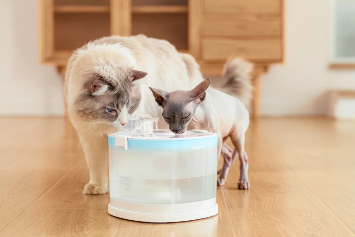 Magyarországon most indul az okos kisállat-forradalom, Nyugat-Európában már minden harmadik gazdinál van smart pet eszköz