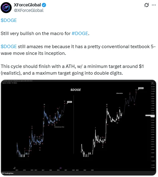 XForceGlobal Doge kripto elemzése