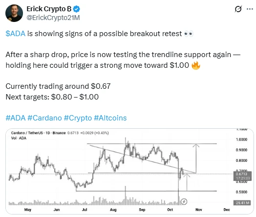 Erick Crypto B ADA elemzése