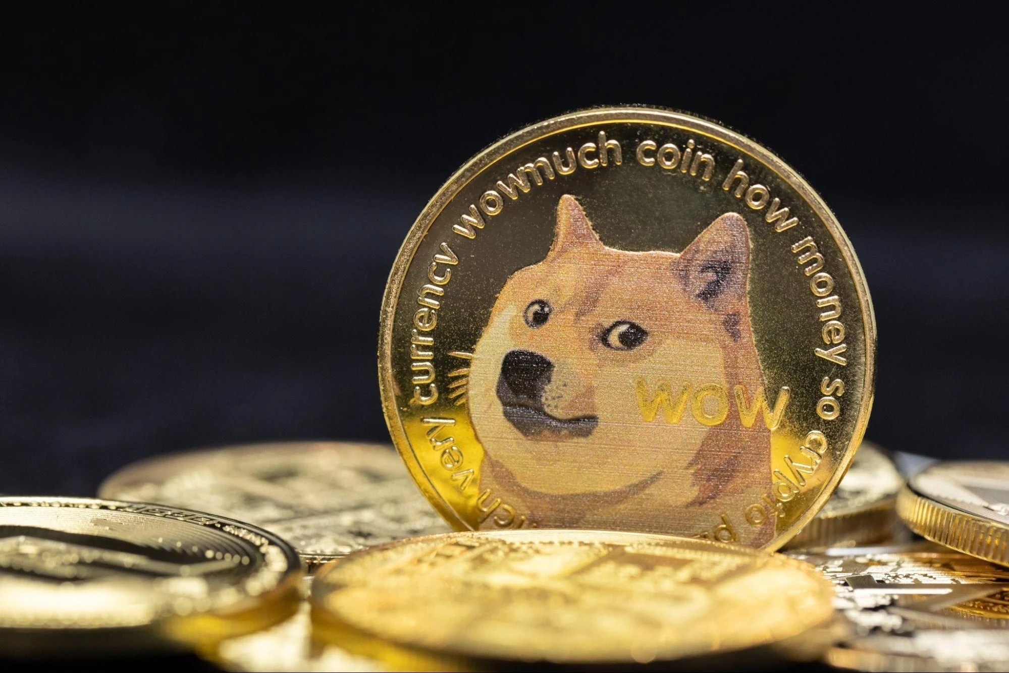 Intézményi fordulópont előtt a Dogecoin? Bitwise váratlan húzása spot ETF-et hozhat a piacra