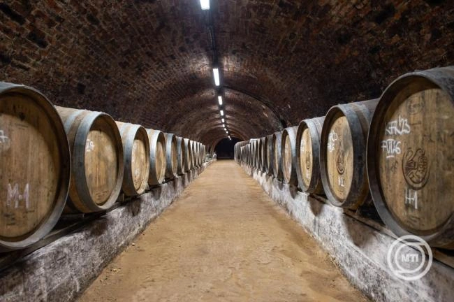 Uniós oltalom alá kerültek a füredi borok