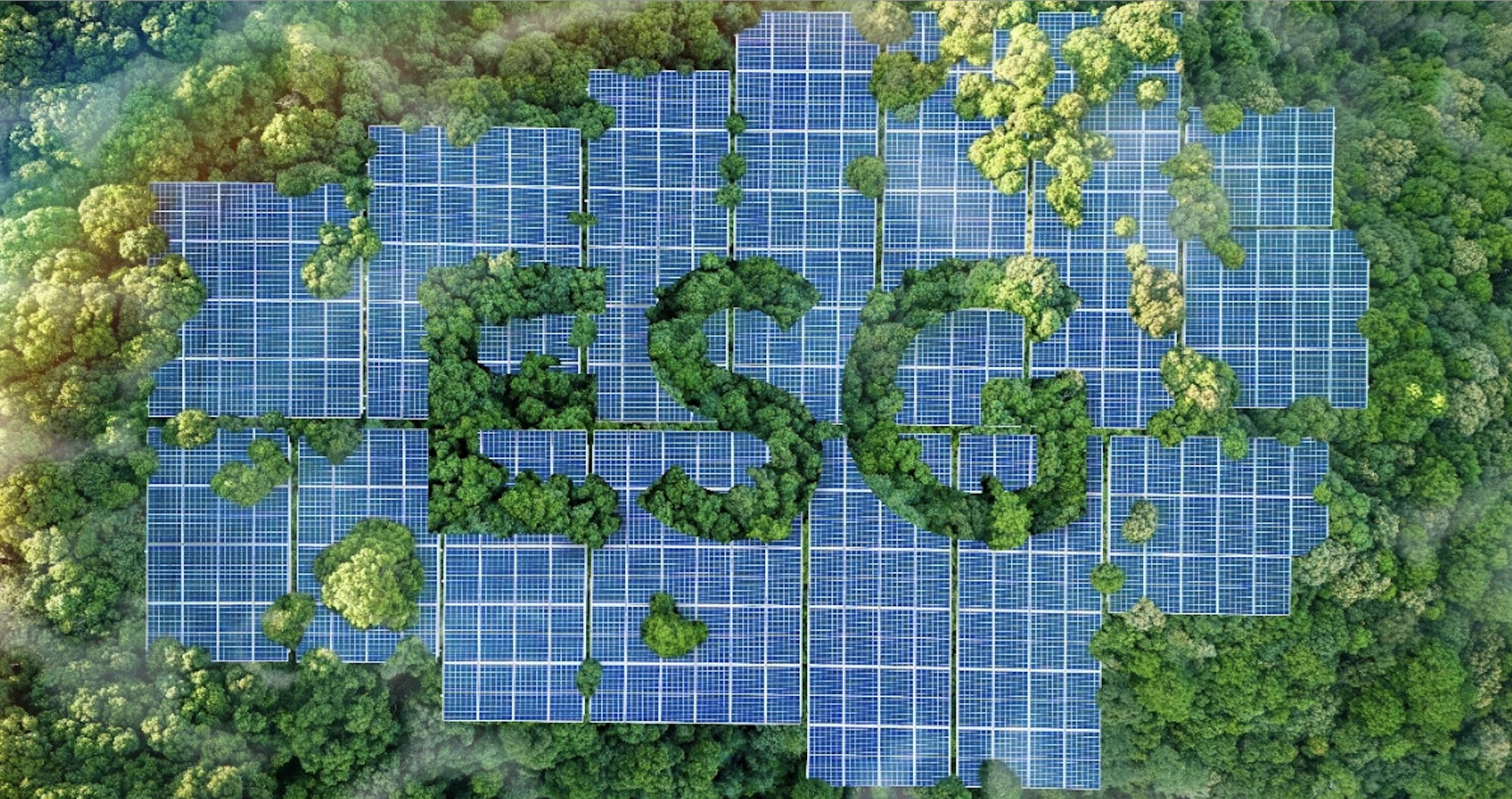 Az ESG nem trend, hanem jövőkép” – a Soproni Egyetem ESG-képzései