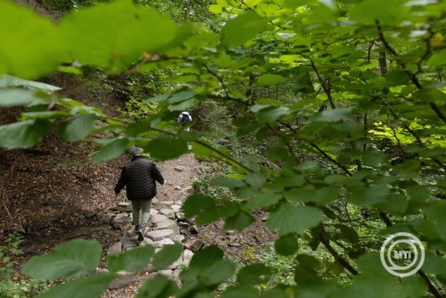 Erdőgazdálkodási mintaprojekt kezdődött a Pilisi Parkerdőben
